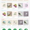 Theme Wordpress in ấn 6