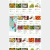 Theme wordpress shop bán trái cây, nông sản