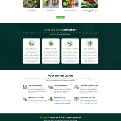 Theme wordpress bán tâm thất bắc